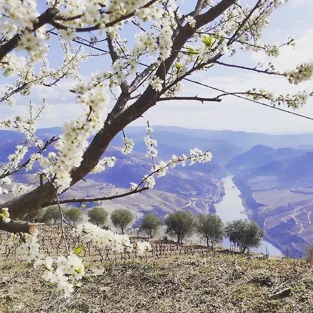 Feriehus D'uvale Douro Alijó
