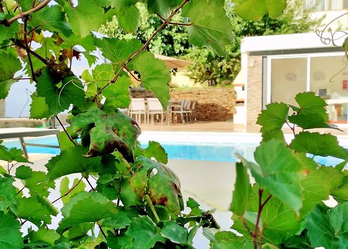 Hébergement de vacances D'uvale Douro