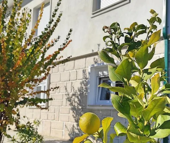 D'uvale Douro Vakantiehuis Alijó