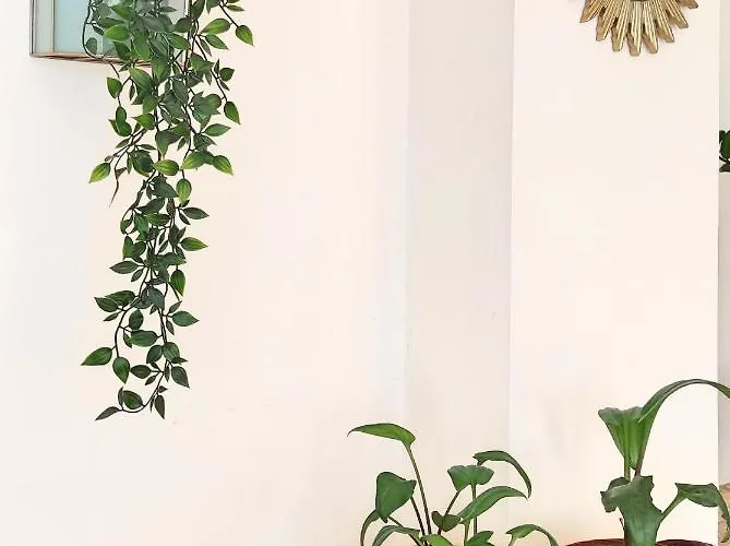 Vakantiehuis D'uvale Douro *