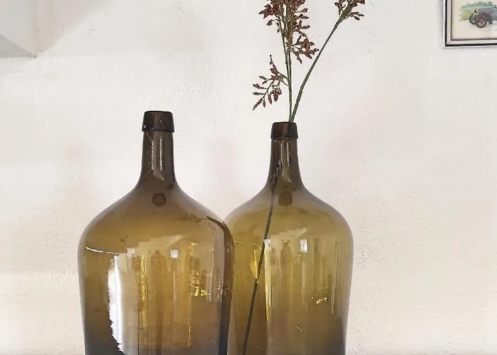 Vakantiehuis D'uvale Douro